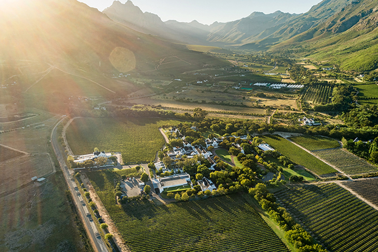 Vang Nam Phi Lanzerac Chardonnay Stellenbosch