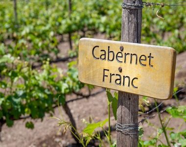 Cabernet Franc