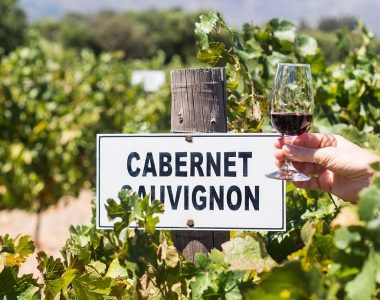 Cabernet- Sauvignon