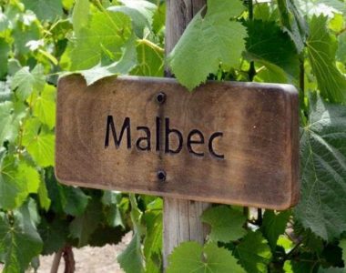 Malbec