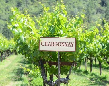 Chardonnay