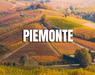 rượu vang Piedmont